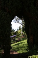Veggie Arch